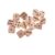 15Pcs Wooden D6 Dice Set, 20mm Round Corner, 6 Sided Gaming Dice for Adults Standard Game Dice