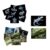 16 Animal X-Ray Set, Educational Science Kit for Kids to Explore Bone Structures for Lightstand Accessories, Light and Shadow Areas (Pets Series)