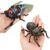 2-Pack Wind-Up Beetle Toy, Movable Head & Tail Bug(Summer Cicada+Spider)