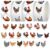 2000Pcs Bulk Chicken Stickers for Reward, 4 Rolls 1 in Cute Cartoon Hen Rooster Farm Sticker Decal for Water Bottles Laptops Luggage Cup Scrapbooking Party Favors Classroom Prizes（20 Styles
