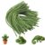 200 Pcs Green Pipe Cleaners, 12 Inch Fuzzy Crafts Supplies Bulk for DIY Art, Classroom Activities, and Flower Making (Green)