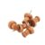 200pcs Wooden Push Pins with Steel Points for Office School Bulletin Boards, Maps, Photos