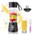 2026 New Portable Smoothies Blender – 13 Oz Personal Travel Blender
