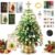2027 DIY Beaded Christmas Tree Kit for Adults, 3D Crystal Bead Mini Tabletop Xmas Tree Craft Set, Handmade Sparkling Holiday Desk Decoration,Unique Christmas Gift for Craft Lovers Home Decor & Gift