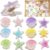 24 Pcs Cute Shell Star Push Pins Decorative Push Pins Colorful Thumb Tacks