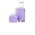 2 Piece Luggage Set 20 Inch Carry on Suitcase with 14in Cosmetic Case