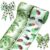 2 Roll Beetle Insect Wired Edge Ribbon Tropical Jungle Bug Ribbon