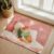2x3ft Washable Area Rug,Fluffy Large Carpet Ginger Cat Reading Book Soft Indoor Rugs Non-Slip Accent Floor Mat for Living Room Bedroom Office Decor,Funny Animal Pink Blossom Flower