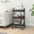 3-Tier Rolling Utility Cart, Anthracite Metal Storage Trolley with Lockable Wheels for Kitchen, Office, and Bathroom Organization, 16.9 x 13.4 x 31.1 Inches