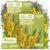 3,000 Mullein Heirloom Flower Seeds for Planting, Verbascum Thapsus