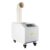 300W Industrial Ultrasonic Humidifier Fog Output Auto Humidity Control 110V