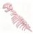 3D Plush Dino-saur Skeletons Costume Set Cozy Dinosaur Plush Costume with