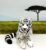 3D Printed Animal, 12″ Articulated 3D Printed Tiger Toy, Tiger Figurines Fidget Toys, 3D Printed Toys for Stress Relief, Poseable Animals Fidget Desk Decor AT001-WHITE-L