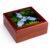 3dRose USA, California. Douglas Iris, Iris douglasiana, Redwood National Park Jewelry Box 7 x 7 inch with 4 inch tile