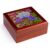 3dRose USA, Oregon. Garden in full bloom. Bearded iris and Russell lupine Jewelry Box 7 x 7 inch with 4 inch tile