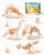 3D Wooden Dinosaur Puzzle, 4 Kits – T-Rex, Triceratops, STEM Toy 8-12