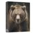 3 Ring Binder Bear View Binder School Office