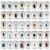 40 Species Real Insect Specimen Collection Set, Preserved Insects Display Box with 40 Different Bugs, Educational Nature Science Kit for Students, Collectors, Teachers and Nature Lovers