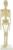 45cm Mini Human Skeleton Model for Biology Anatomy Classroom Teaching Aid