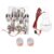 4 Cylinder Stirling Engine Miniature Hot Air Power Generator Physics Teaching Model with Warm Lamp