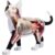 4D Cat Anatomy Model, 28 Detachable Organs