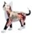 4D Cat Anatomy Model, 28 Detachable Organs and Body Parts