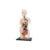 4D Pregnant Woman Assembly Model