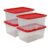 4 Pack 27 Gallon Clear Plastic Storage Bins with Red Snap Lids