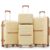 4 Piece Expandable Hardside Luggage Sets with Carry On Spinner Wheels，White