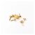 500pcs Mixed Multicolor Round Metal Brads