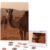 500 Piece Puzzles for Adults Personalized Wooden Puzzles Camel Walking Jigsaw Puzzles Gift Custom Puzzle from Photos Challenging Puzzles for Family Wedding Christmas Birthday Gifts 20.4 x 15 in