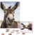 500 Piece Puzzles for Adults Personalized Wooden Puzzles Funny Donkey Jigsaw Puzzles Gift Custom Puzzle from Photos Challenging Puzzles for Family Wedding Christmas Birthday Gifts 20.4 x 15 in