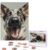500 Piece Puzzles for Adults Personalized Wooden Puzzles Humour Dog Jigsaw Puzzles Gift Custom Puzzle from Photos Challenging Puzzles for Family Wedding Christmas Birthday Gifts 20.4 x 15 in