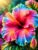 500 Piece Wooden Puzzles – Rainbow Hibiscus – Jigsaw Puzzles for Adults, Each Piece is Unique, Perfect Family Leisure Gift & Gifts – Puzzles Collectibles