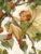 500 Piece Wooden Puzzles for Adults- Girl Playing in Tree – Leisure Gift for All – Best Gift for Birthday Party – Stress-Free Starter Puzzle for Adults Beginners