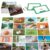 50 Go Together Flashcards, Realistic Matching Picture Cards for Kids & Adults, Word Builder Visual Aid Language Learning Tool for Autism, ESL Teaching Materials, Speech Therapy, School Supplies