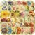 50Pcs Glass Flower Stickers with Gold Holographic Outlines (Glass)