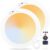 GIVRYES 2P ack Ceiling Light