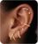 7 Pairs Gold Earrings