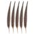 5 Pcs Pheasant Feathers, 15.7-17.7 in / 40-45 cm Natural Male Ringneck Tail Feathers for DIY Projects, Decoration, Dance Accessories, Cat Playthings