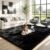 5×8 Area Rugs for Living Room, Bedroom, Ultra Soft Fluffy Shag Bedside Rug, Non-Slip & Non-Shedding, Fuzzy Plush Indoor Floor Carpet for Kids Room, Nursery, Dorm, Office, Modern Home Decor (Black)