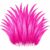 6-16inch Rooster Tail Feathers Bulk,200pcs Natural Long Feathers,Hot Pink