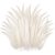 6-16inch Rooster Tail Feathers Bulk,200pcs Natural Long Feathers,Off White