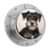 60 Minute Schnauzer Dog Magnetic Kitchen Timer with Loud Alarm