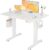 SEANG Electric Standing Desk