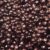 6mm Cup Bronze Brown Metallic Embossed Texture Made in USA