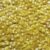 6mm Cup Yellow Rainbow Iris Super Shine Reversible Made in USA