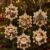 6Pcs Christmas Wooden Ornament Kit, DIY Pearl Diamond Painting Set
