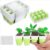 6pcs Reusable Seed Starter Kit, 72Cells Seed Starter Trays, Silicone Seedling Starter Trays for Starting Plant Seeds with Flexible pop-Out Cells, Indoor Gardening Plant Germination Trays(Green)