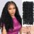 Wigcool Human Crochet Hair for Black Women 20Inch 120g Burmese Curly Crochet Human Hair 100Strands Bundles Pre-Separated Feather Crochet Human Hair Mi